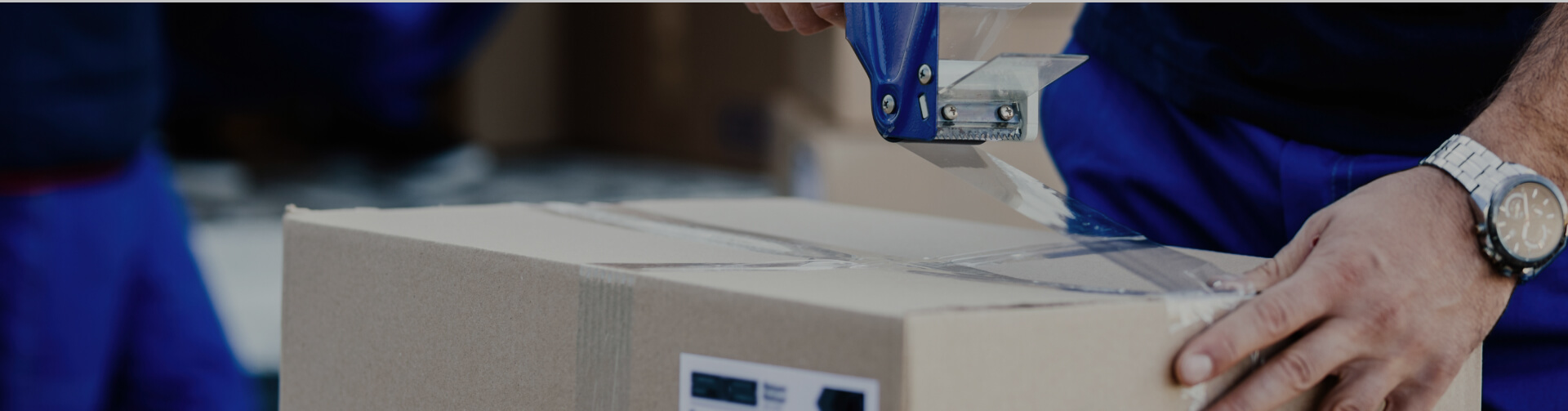 banner-shipping-policy banner-shipping-policy