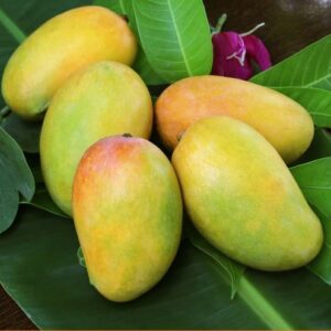 Kesar (1Kg/3Kg/5Kg Box) | Naturally Ripened and Carbide Free Mangoes