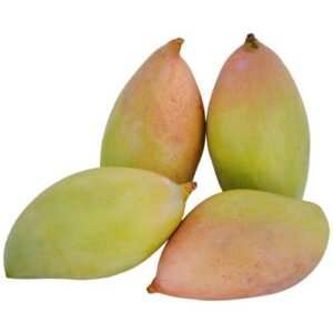 Thotapuri - Raw Mango